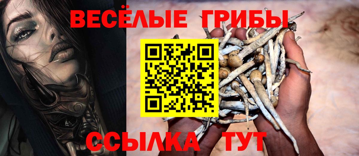 Псилоцибиновые грибы ЛСД Амурск