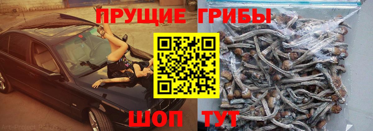 Амурск  Псилоцибиновые грибы MAGIC MUSHROOMS  Вход с VPN 